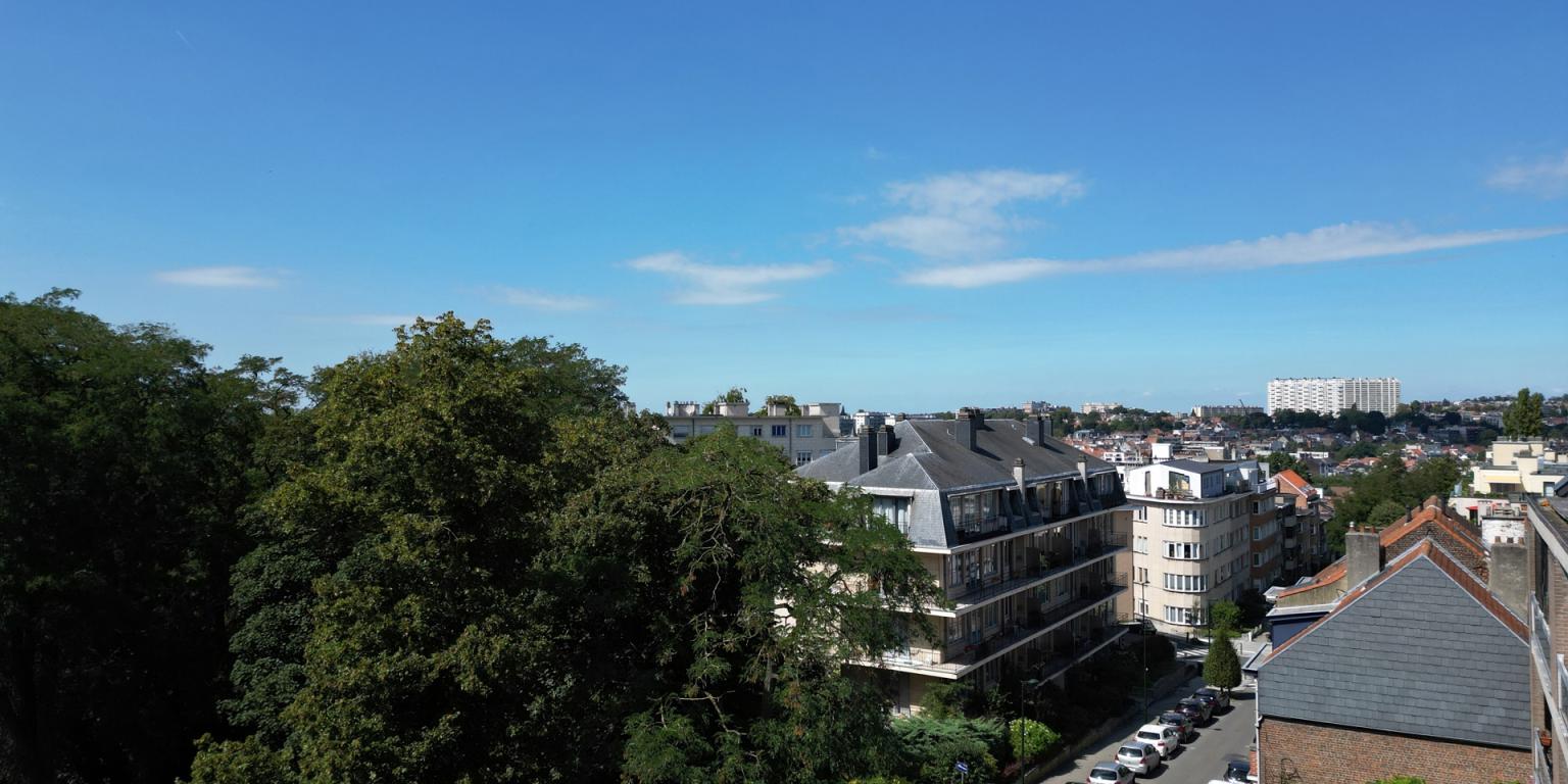 AZANDE "Colonel Chaltin"