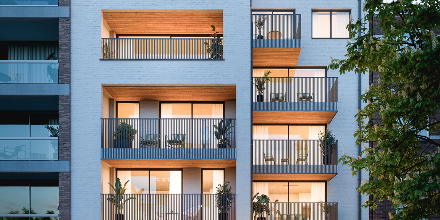 AZANDE "Colonel Chaltin"