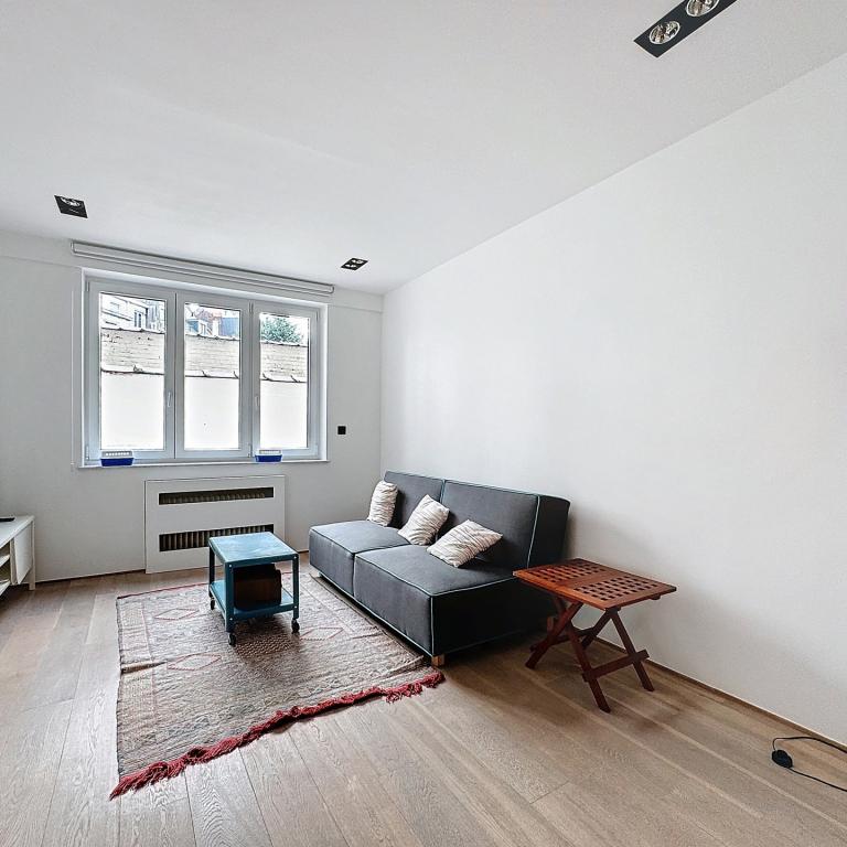 Molière/Bascule : Bel appartement meublé 1 ch. + terrasse