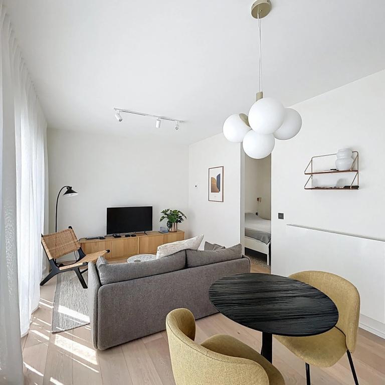 Centre ville - Appartement 1 chambre meublé