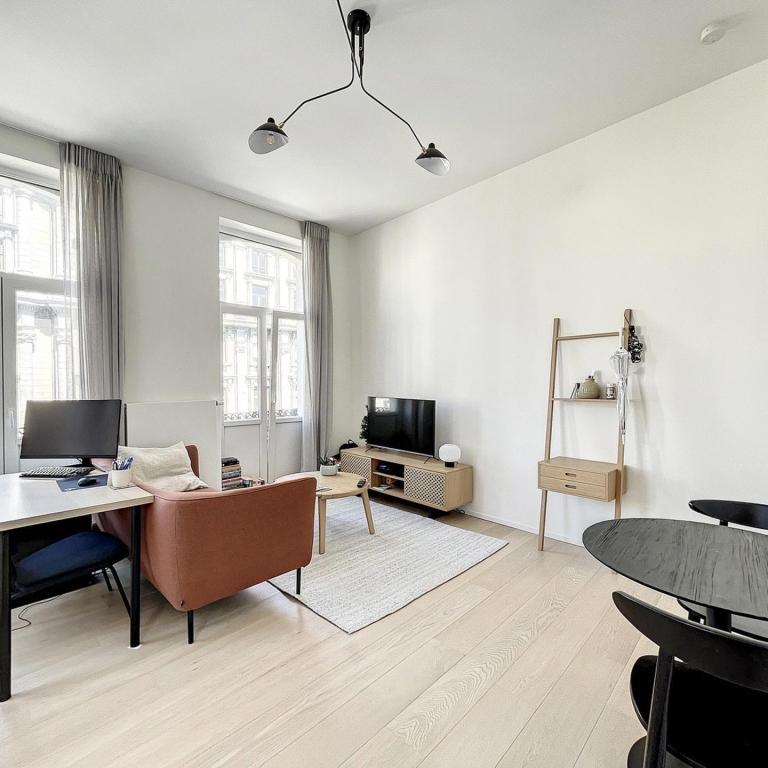 Centre-ville, superbe appartement meublé 1 chambre