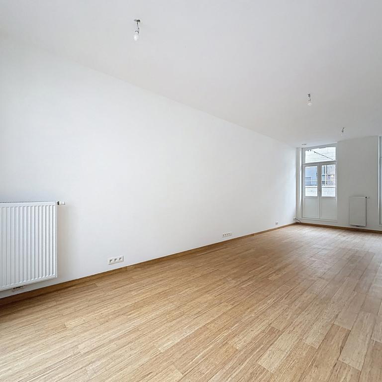 Chée d'Ixelles : Bel appartement remis à neuf +  terrasse