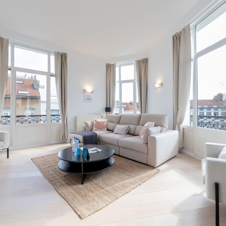 Molière: Magnifique appartement rénové 1 ch, 1 sdb et balcon