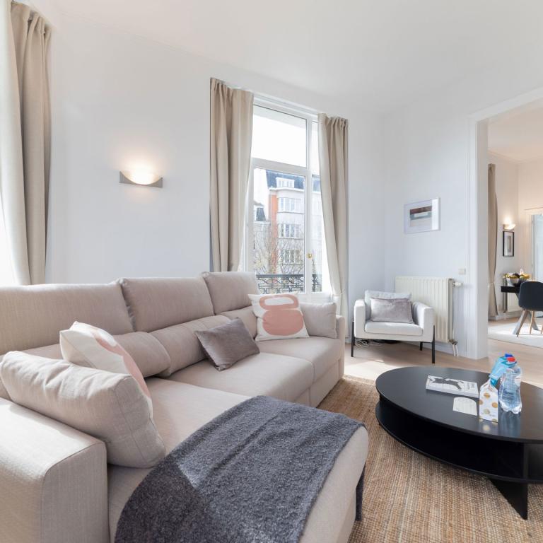 Molière: Magnifique appartement rénové 1 ch, 1 sdb et balcon