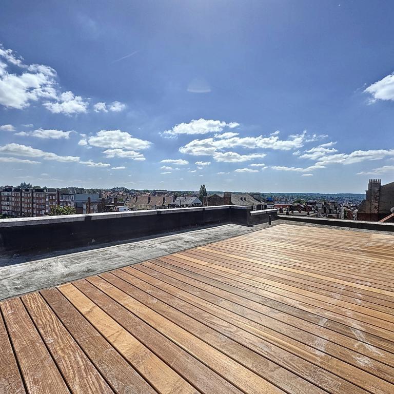 Quartier Molière, penthouse rénové 3 ch avec grande terrasse