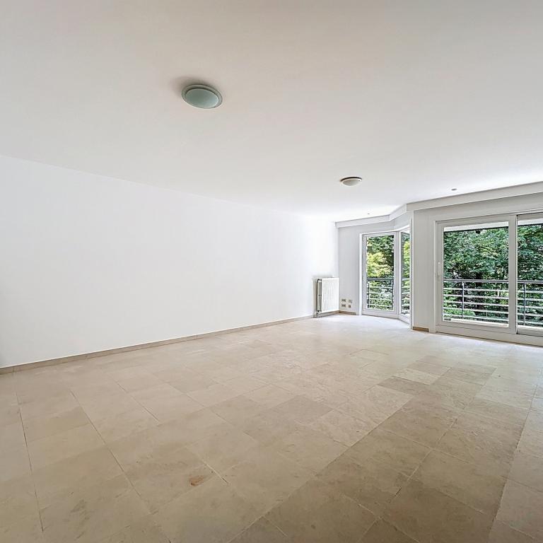 Solbosch/Roosevelt : Bel appartement 3 chambres + terrasse