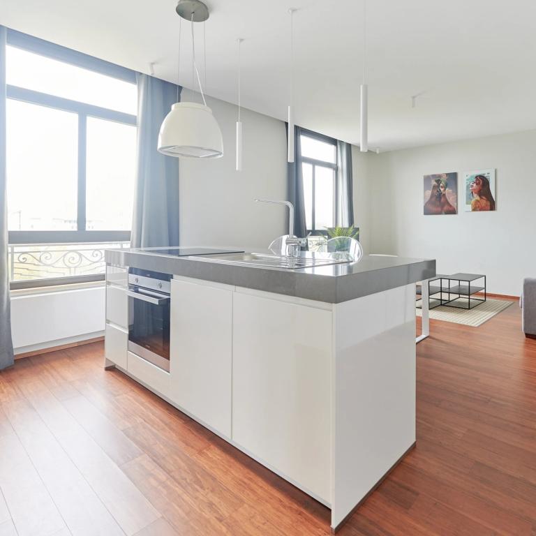 Toison d'Or : Bel appartement meublé 1 chambre