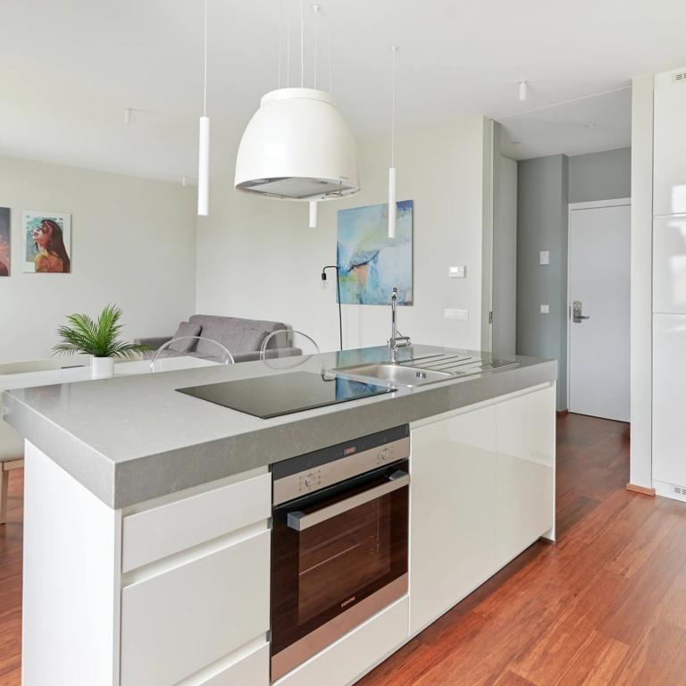 Toison d'Or : Bel appartement meublé 1 chambre