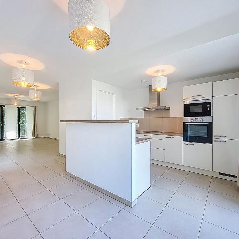 Stalle/Calevoet : Magnifique appartement 4 chambres 