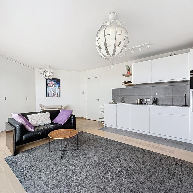 Louise/Quadrian : Superbe appartement meublé + terrasse