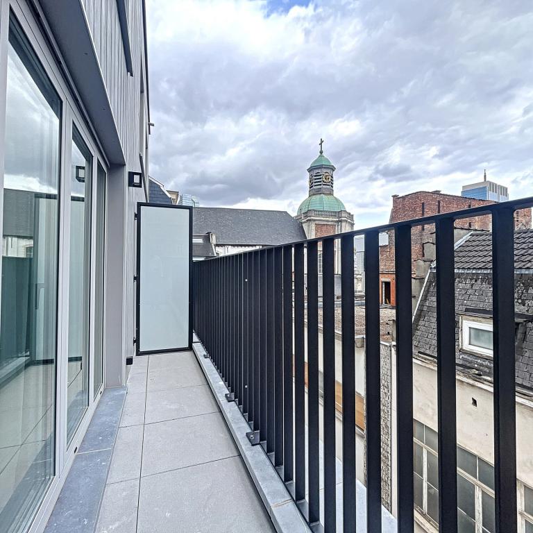 Centre ville - Duplex meublé 3 ch + terrasse