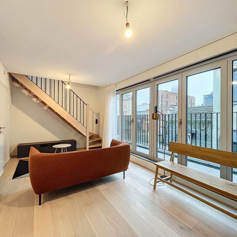 Centre ville - Duplex meublé 3 ch + terrasse
