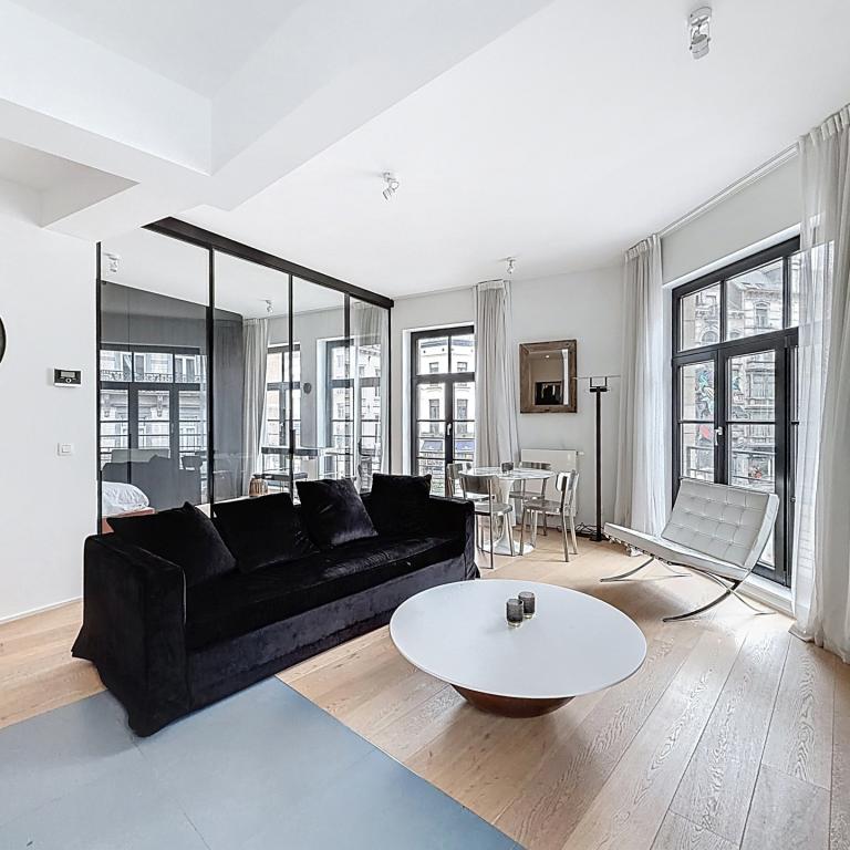 Sablon : Bel appartement 1 chambre remis à neuf et meublé