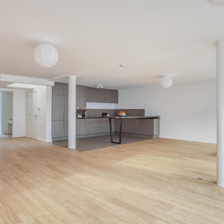 Cottages : Belle maison mitoyenne + terrasses + jardin