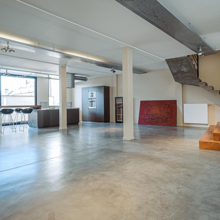 Lycée Français, magnifique loft de 220m² 3 ch et garage