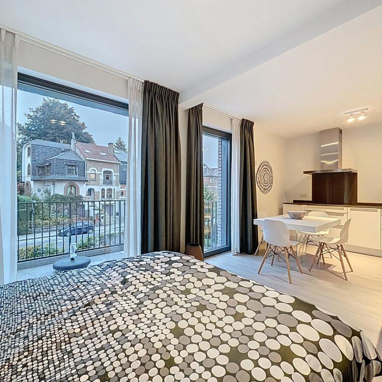 Place Saint-Job : Beau studio meublé moderne + terrasse