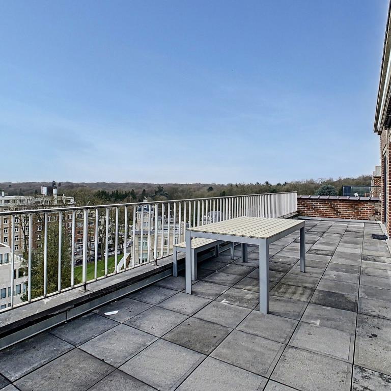 Roosevelt : Superbe penthouse avec grande terrasse