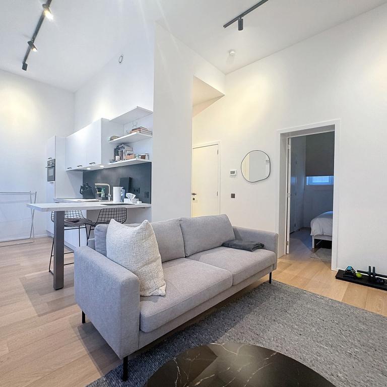 Bruxelles centre : magnifique appartement 1 chambre meublé