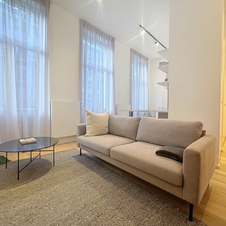 Bruxelles centre : magnifique appartement 1 chambre meublé