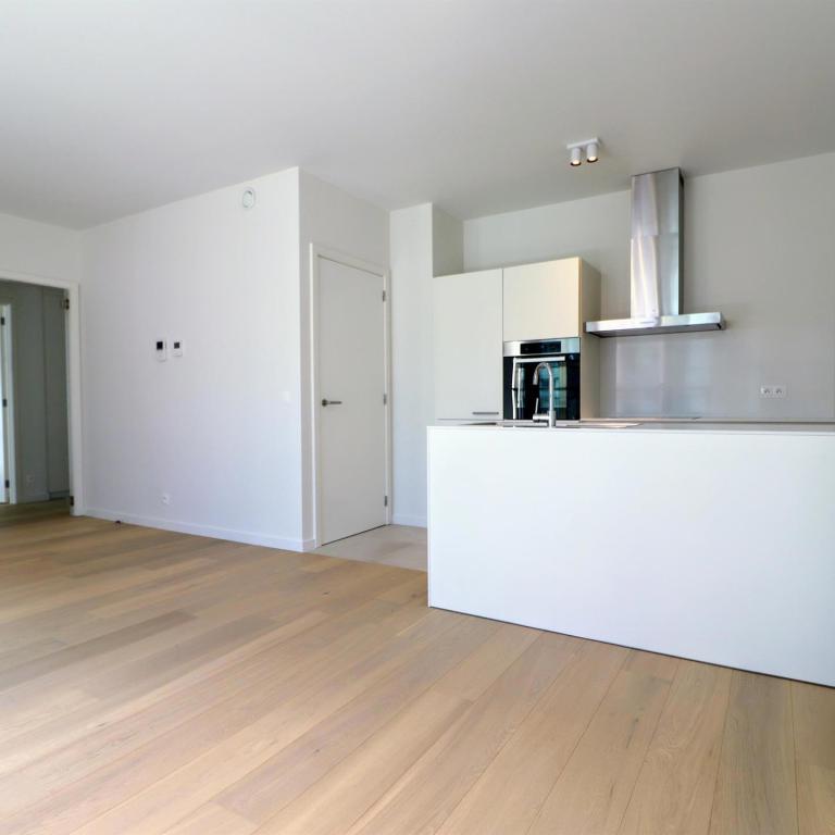 Cinquantenaire Magnifique appartement 2020 terrasse parking 