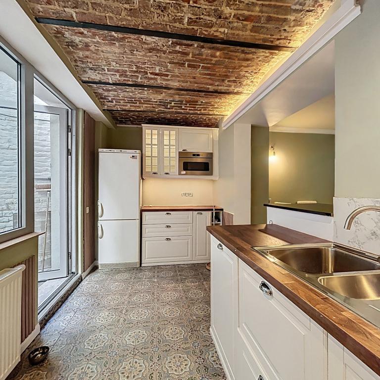 Charmant appartement rénové1 ch meublé avec terrasse 