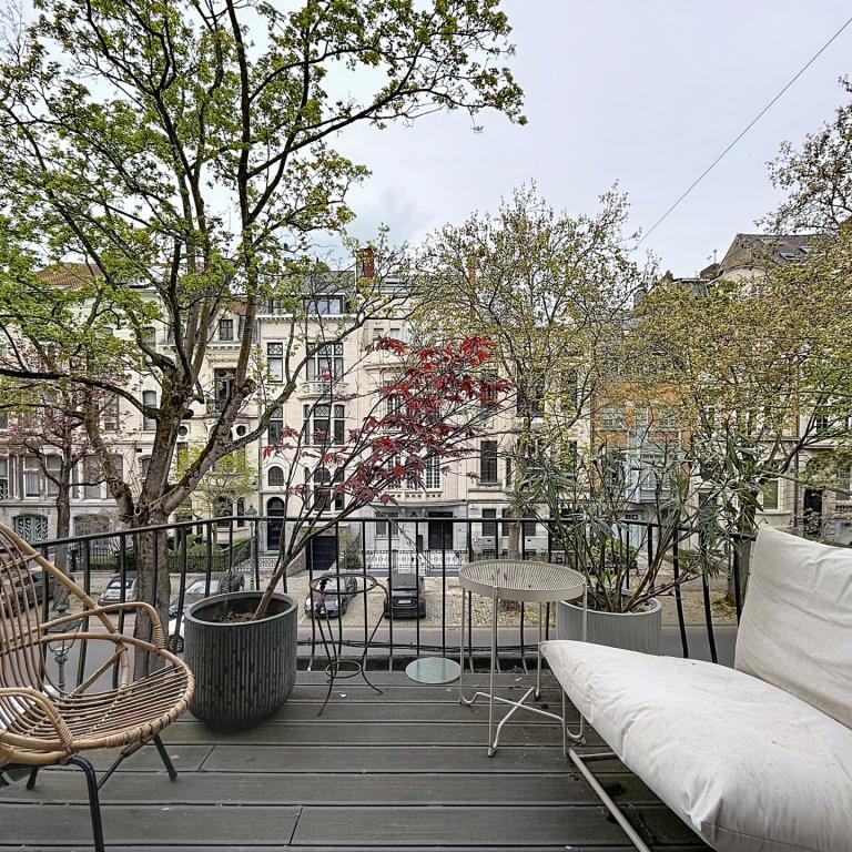 Molière : Appartement 1ch + terrasse 