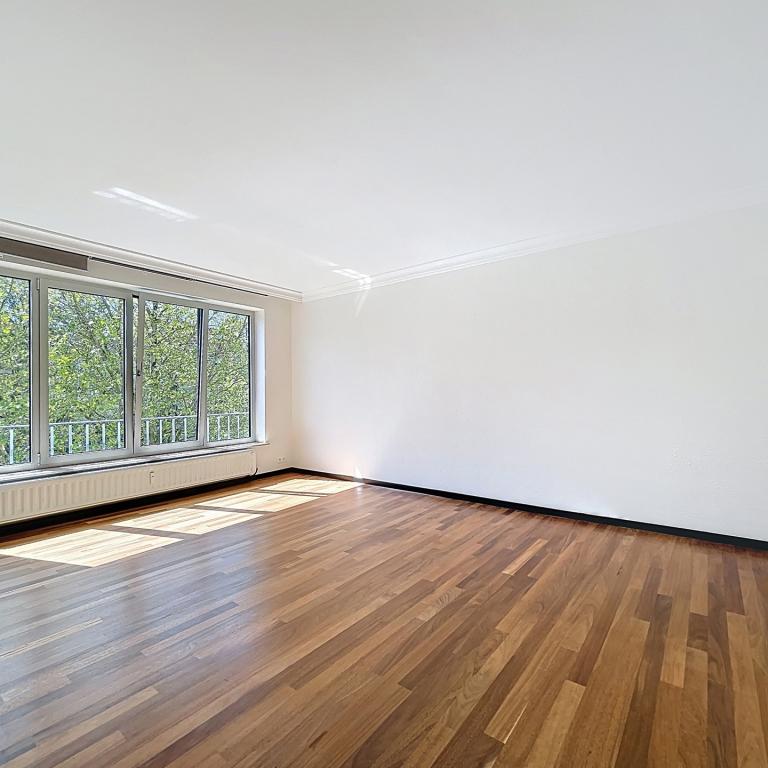 Molière : Bel appartement 1 chambre + espace polyvalent