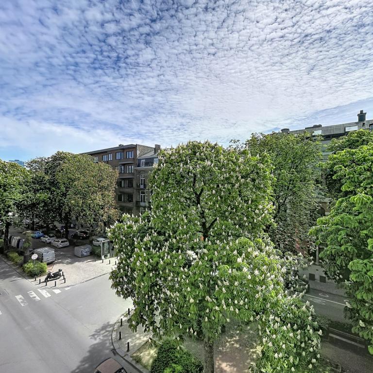 Place Brugmann : Appartement rénové 1chambre + balcon 