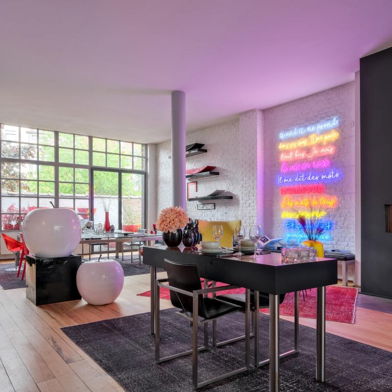 Magnifique loft meublé, 2 grandes terrasses et parking