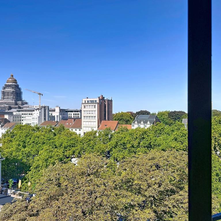 Toison d'Or : Bel appartement meublé 1 chambre