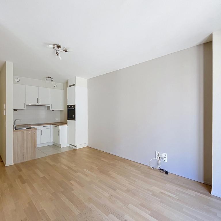 Quartier Européen - Magnifique Appartement 1ch + terrasse