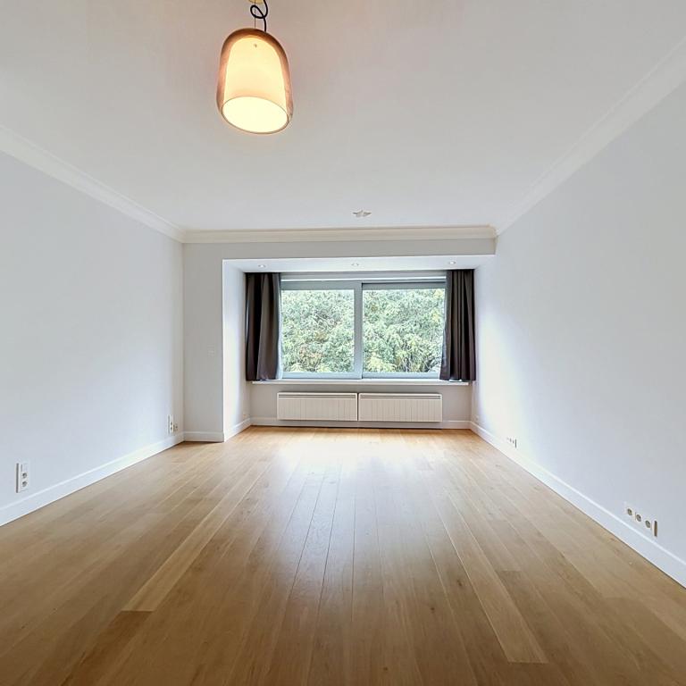 Cavell/Montjoie : Beau studio 