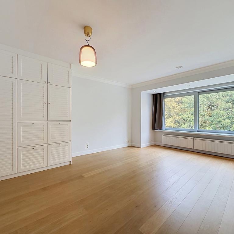 Cavell/Montjoie : Beau studio 