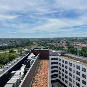 Cimetière d'Ixelles Projet neuf Deltaview