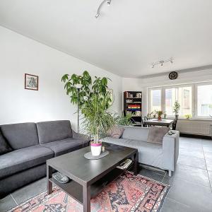 SOUS OFFRE !! Molière: appartement 1 chambre avec terrasse et garage