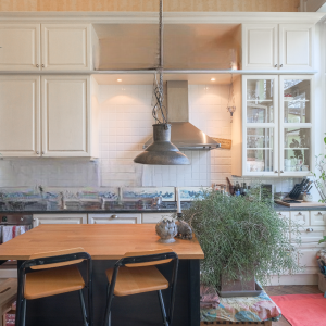 Brugmann/Darwin : magnifique duplex 2 chbres + jardin