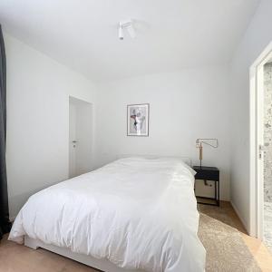 Centre-ville : Superbe appartement meublé 1 chambre