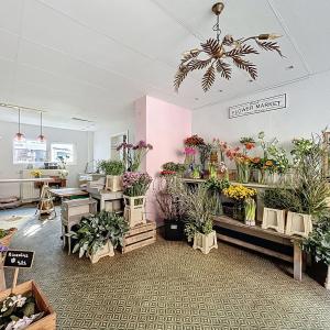 BOONDAEL : Superbe duplex rez-de-chaussée commercial