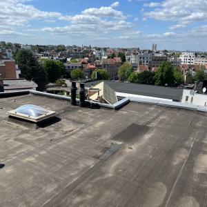 Molière: Appartement rénové 4 ch, 4 sdd, terrasse sur toit