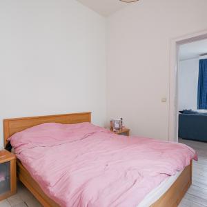 Cinquantenaire: maison de caractère 5/6 ch. 3 sdb et cour