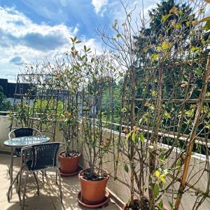  Roosevelt : Bel appartement meublé 3 chambres