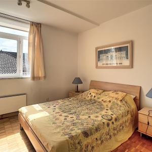  Roosevelt : Bel appartement meublé 3 chambres