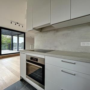 Globe : Penthouse neuf 2 chambres + terrasse + parking