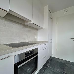 Globe : Penthouse neuf 2 chambres + terrasse + parking