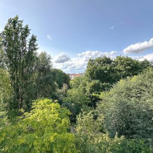 Parc Tenbosch : Magnifique appartement 3 chambres 