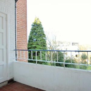Molière : Bel appartement spacieux avec terrasse