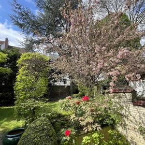 Châtelain/Stéphanie : Superbe duplex rdc avec jardin rénové