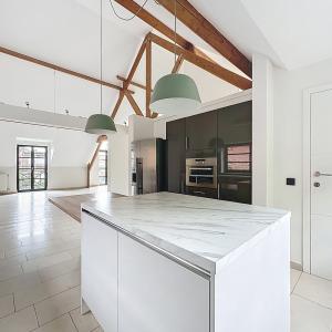Lycée Français : Superbe duplex penthouse + terrasse + pkg