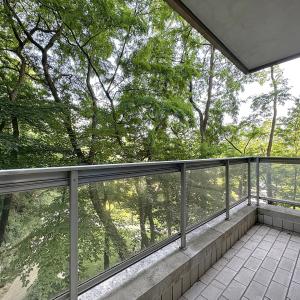 Ferme Rose : Superbe appartement + terrasse + balcon
