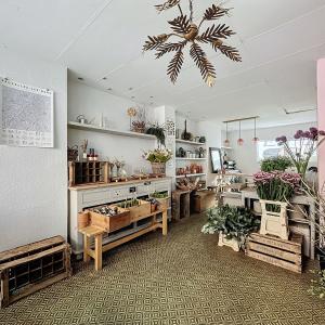 BOONDAEL : Superbe duplex rez-de-chaussée commercial